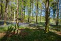 Tollymore Forest Park Newcastle Co Down (16)